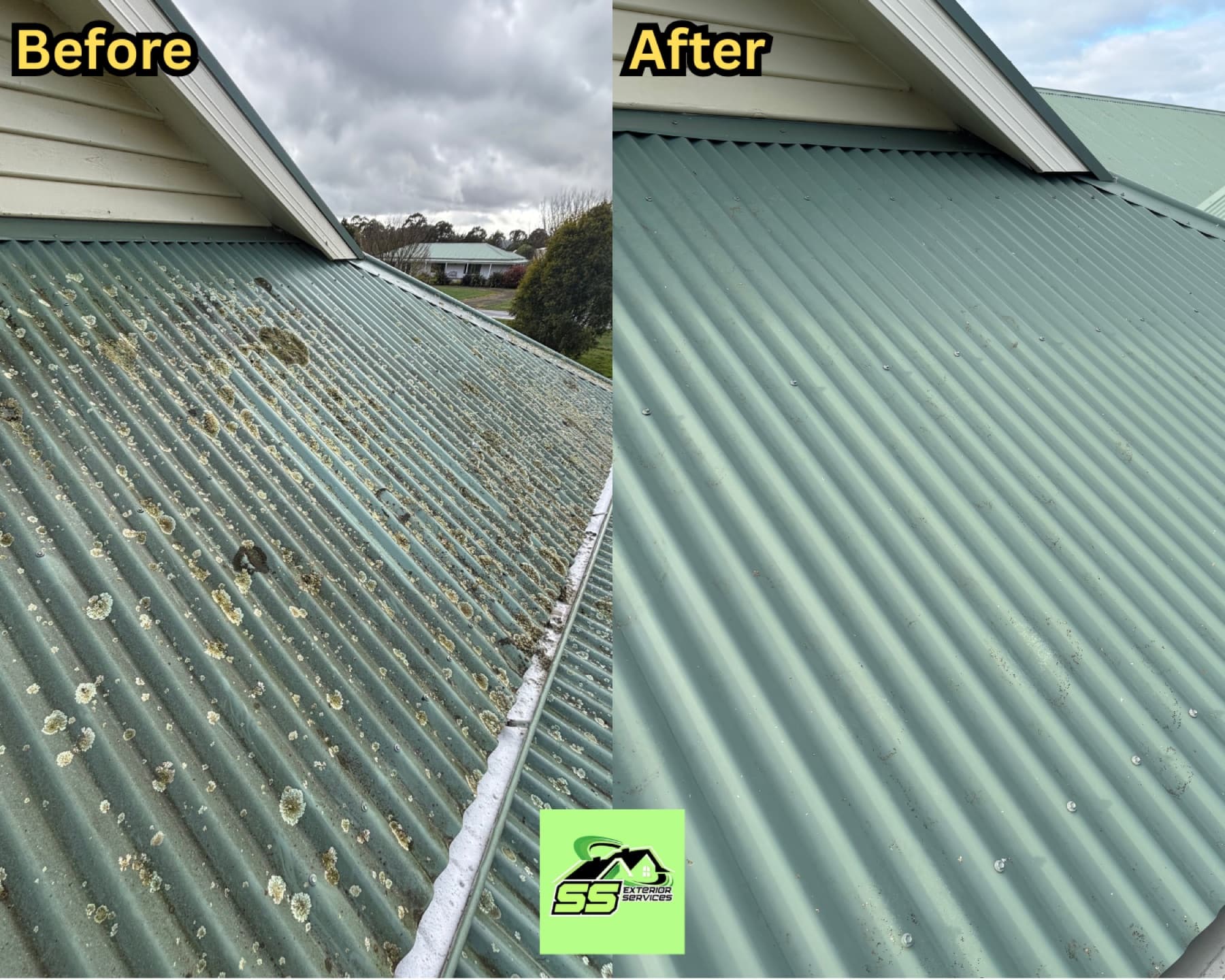 Roof softwashing before and after