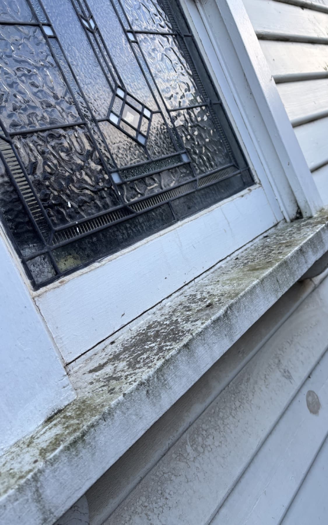 Render or painted finish cleaning example by SS Exterior Services in Kilmore and Mitchell Shire
