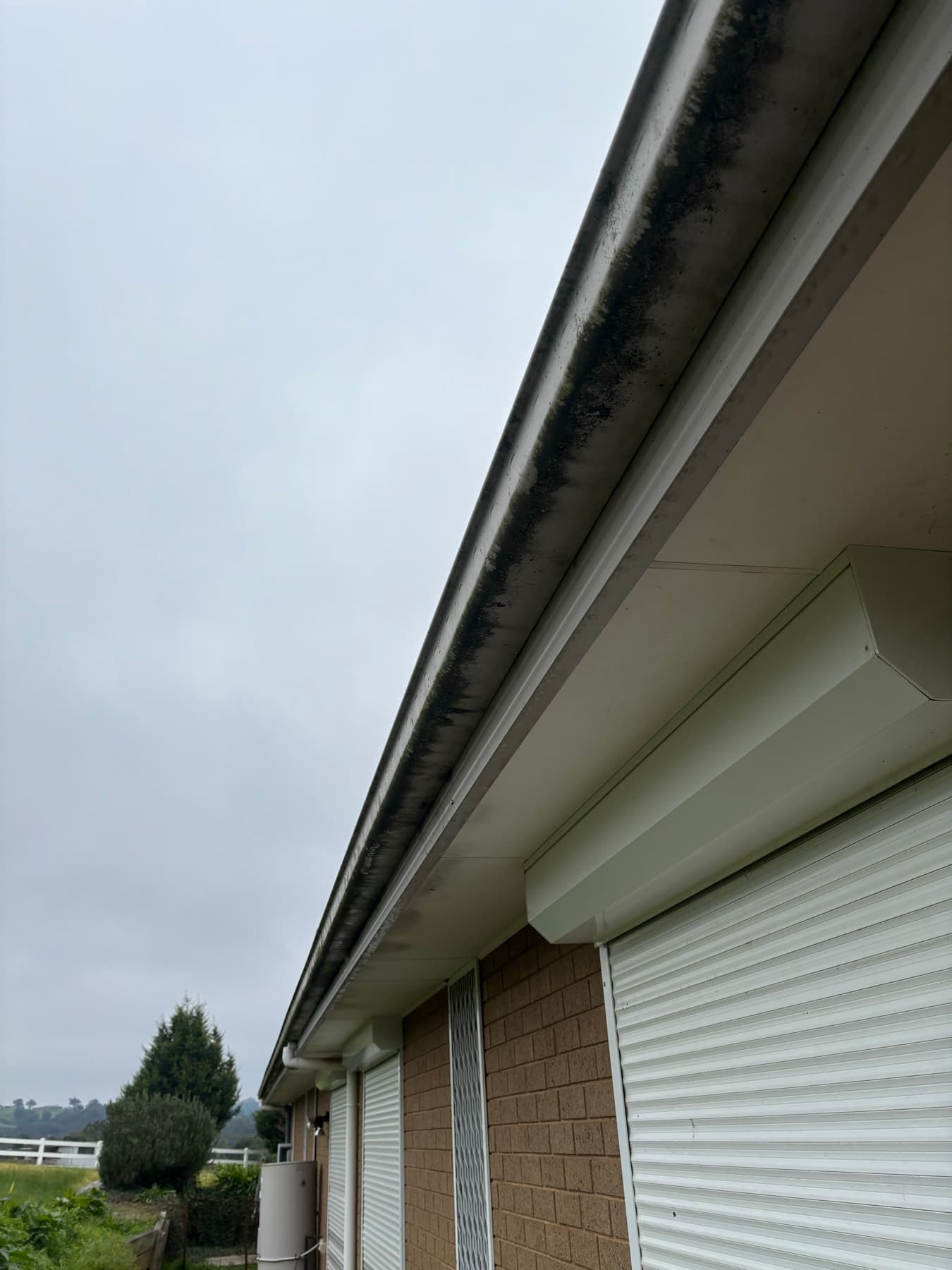 Exterior gutter, fascia and eave washing example by SS Exterior Services in Kilmore and Mitchell Shire