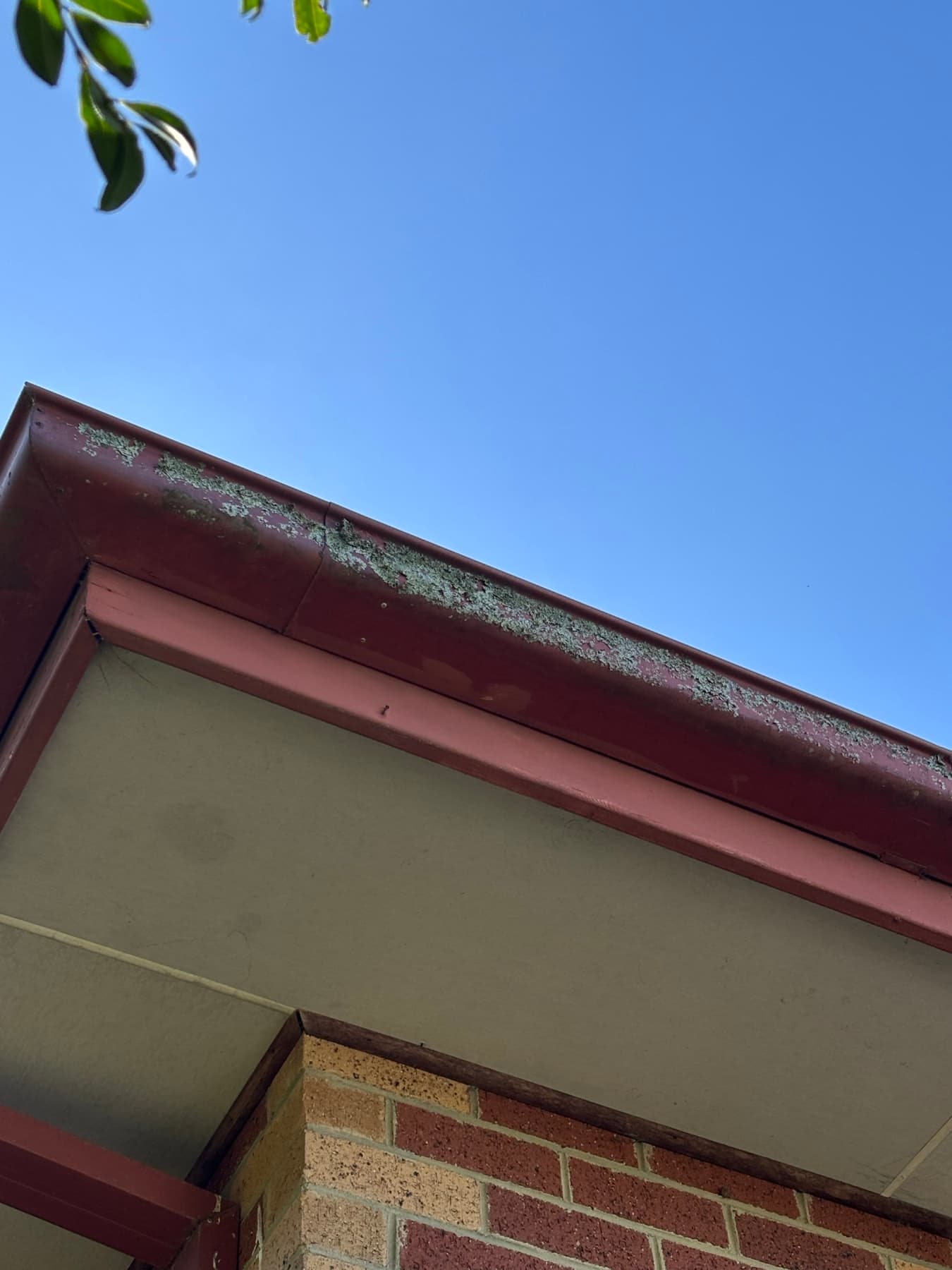 Exterior gutter, fascia and eave washing example by SS Exterior Services in Kilmore and Mitchell Shire