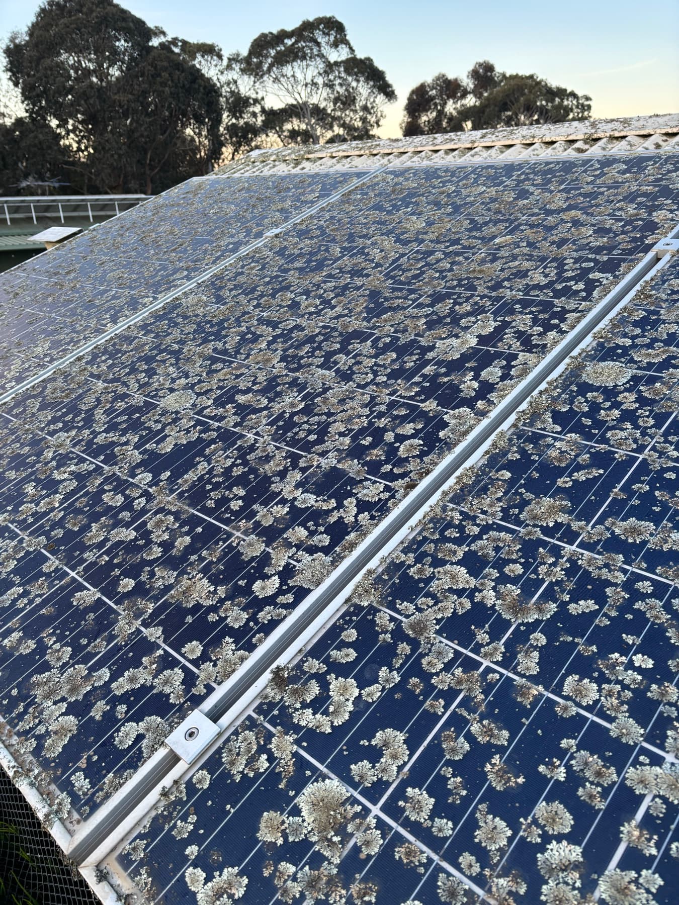 Solar panel cleaning example by SS Exterior Services in Kilmore and Mitchell Shire