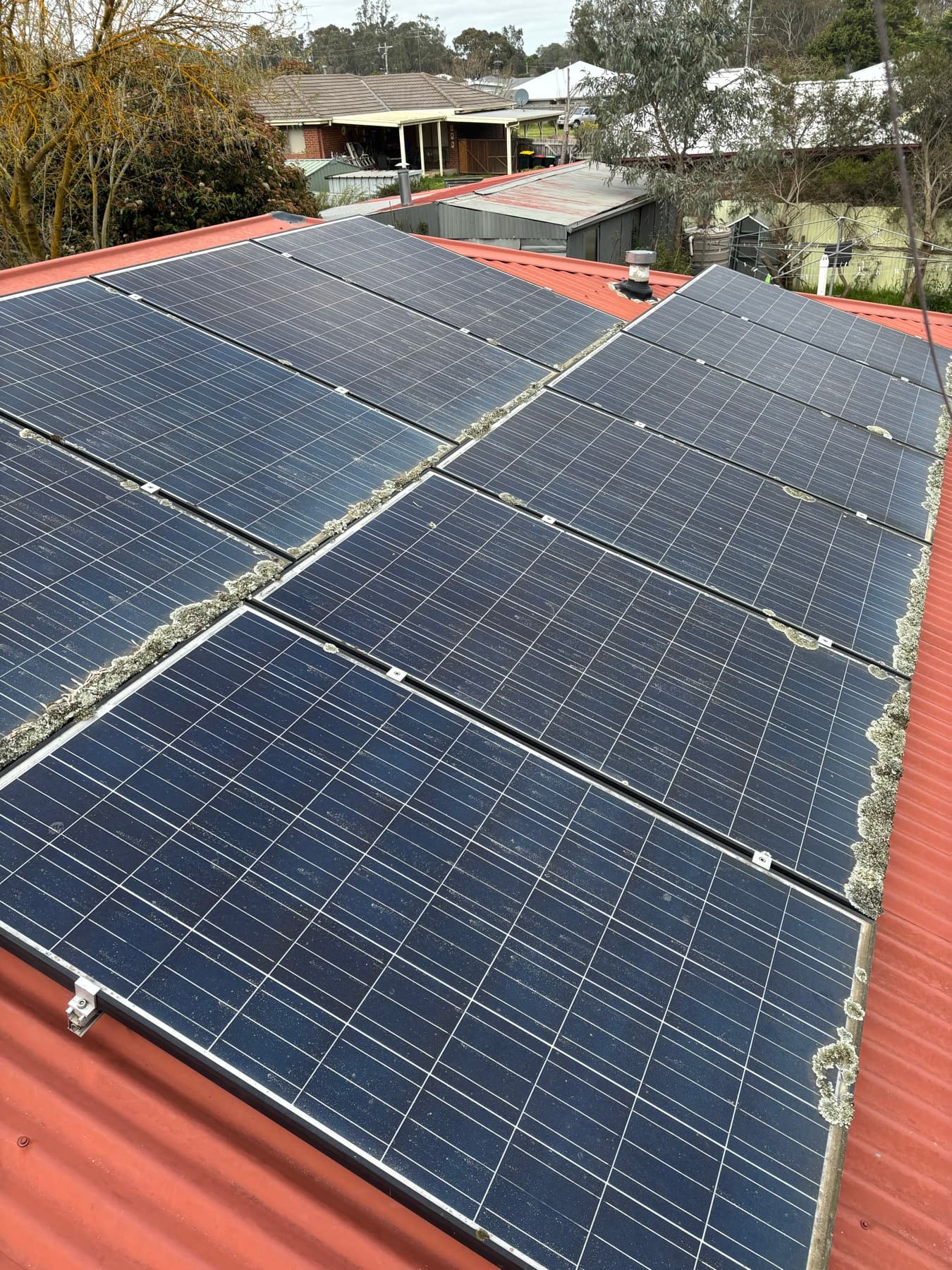 Solar panel cleaning example by SS Exterior Services in Kilmore and Mitchell Shire
